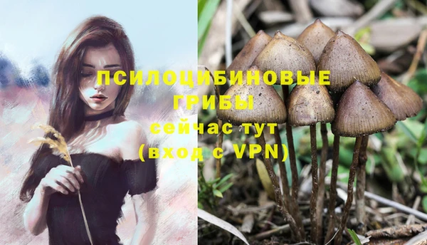 кристаллы Абинск