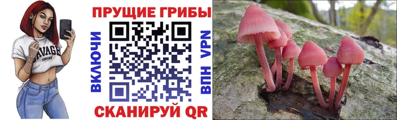 KRAKEN ONION Ростов-на-Дону Галлюциногенные грибы прущие грибы