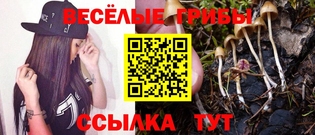 Псилоцибиновые грибы прущие грибы Ростов-на-Дону