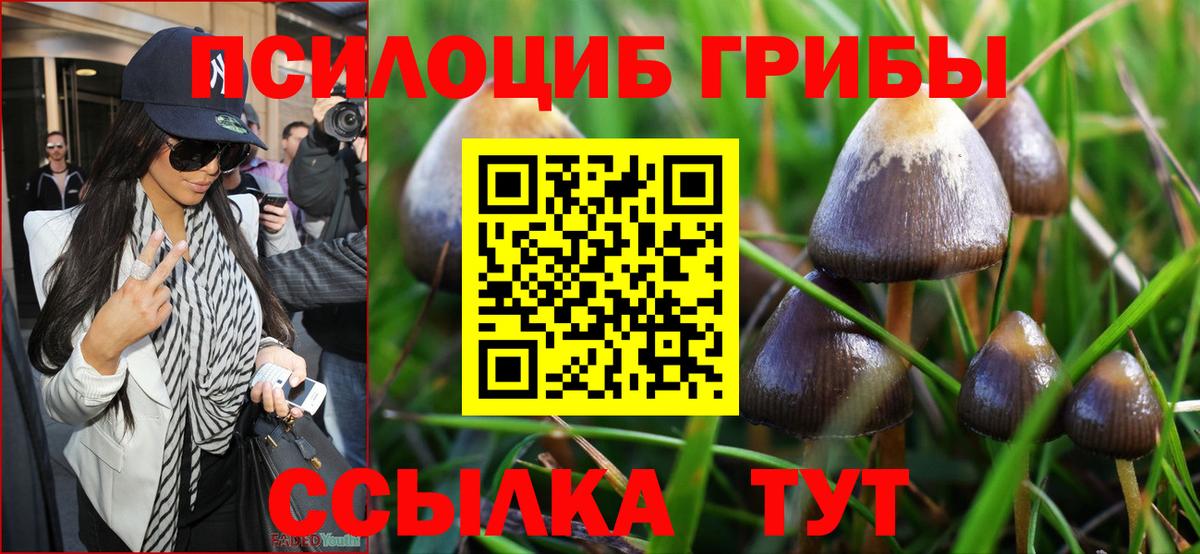 Галлюциногенные грибы ЛСД  Галлюциногенные грибы Psilocybe  Ростов-на-Дону  Вход с VPN 